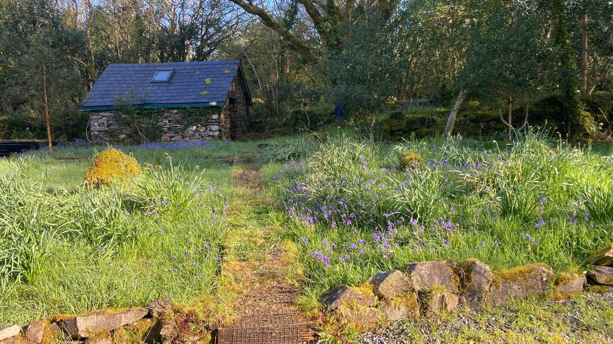 Sligo Forest Retreat ภายนอก รูปภาพ