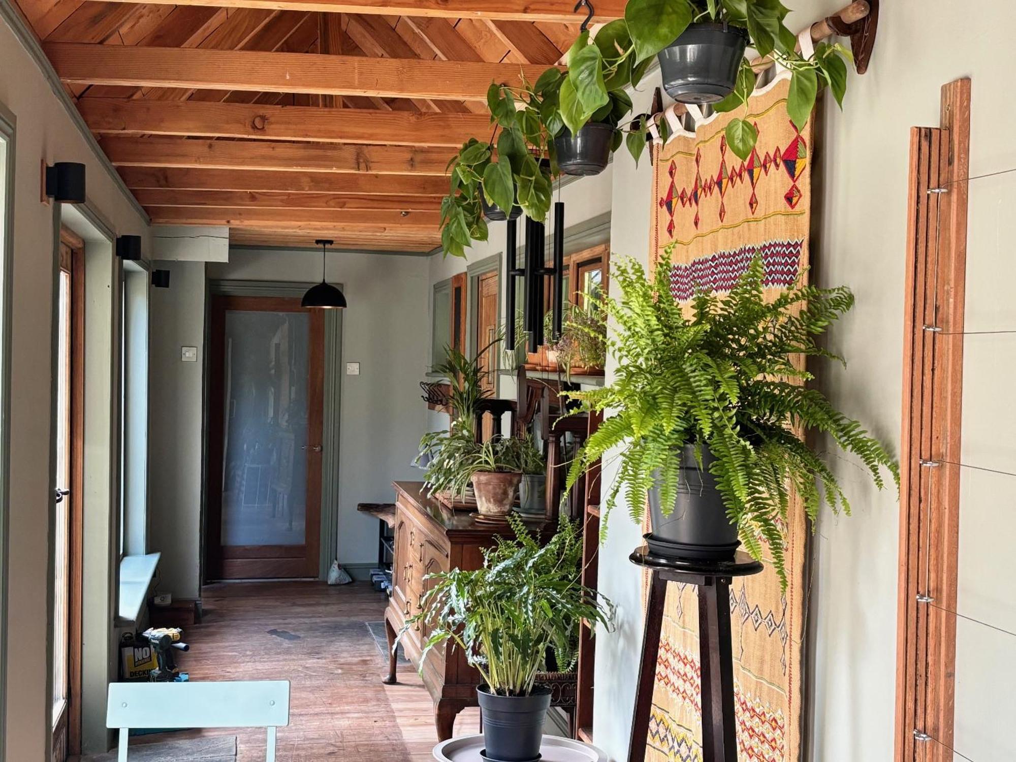 Sligo Forest Retreat ภายนอก รูปภาพ