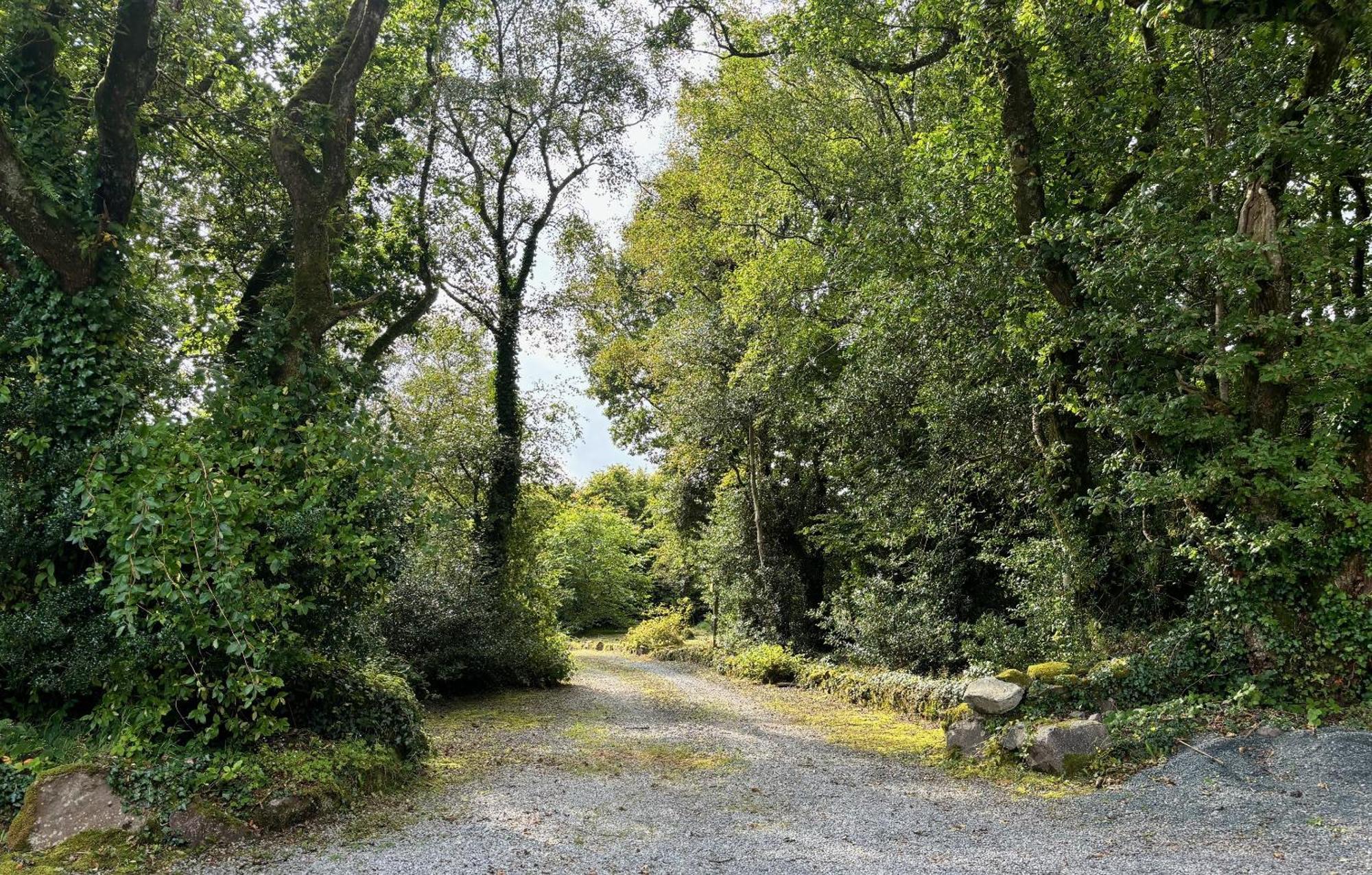 Sligo Forest Retreat ภายนอก รูปภาพ